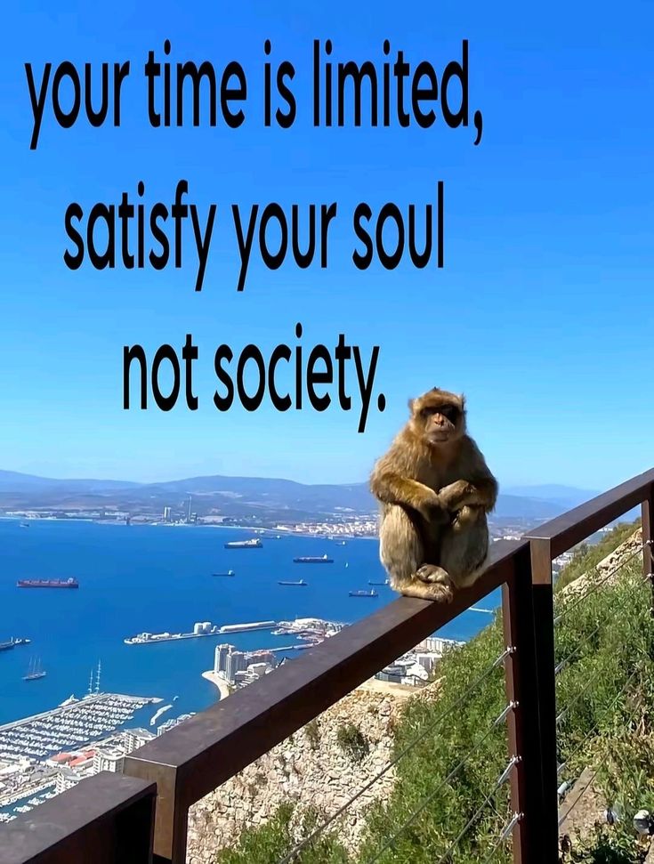 Soul